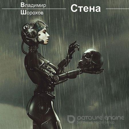 Аудиокнига - Стена (2022) Шорохов Владимир