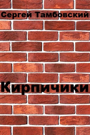 Сергей Тамбовский. Кирпичики