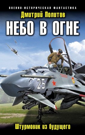 Дмитрий Политов. Цикл - Небо в огне