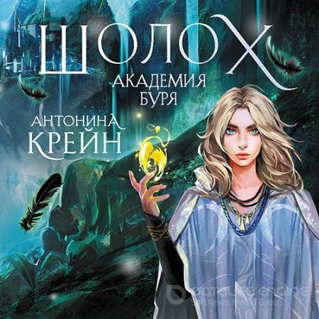 Аудиокнига - Шолох. Академия Буря (2022) Крейн Антонина