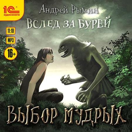 Аудиокнига - Выбор мудрых (2022) Рымин Андрей