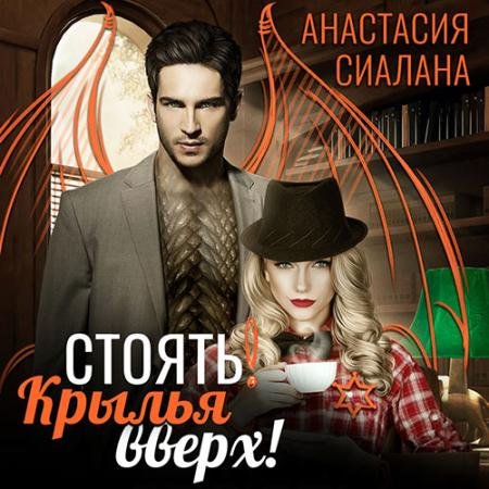 Аудиокнига - Стоять! Крылья вверх! (2023) Сиалана Анастасия