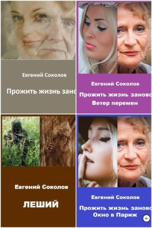 Евгений Соколов. Сборник 13 книг